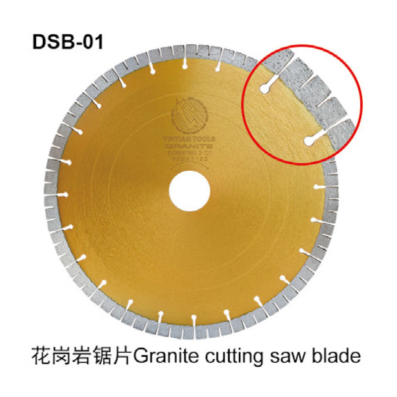 DSB-01