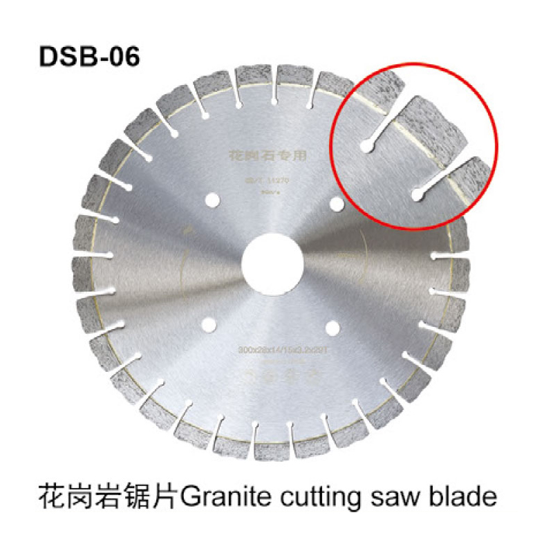 DSB-06