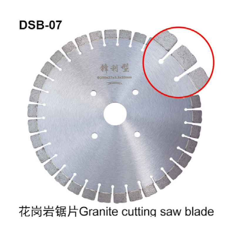 DSB-07