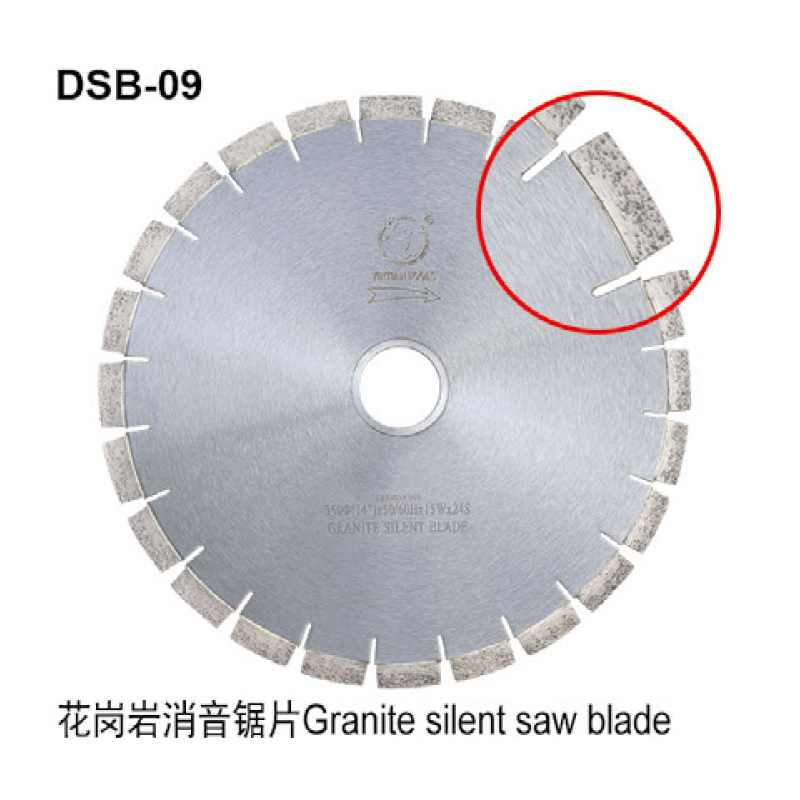 DSB-09