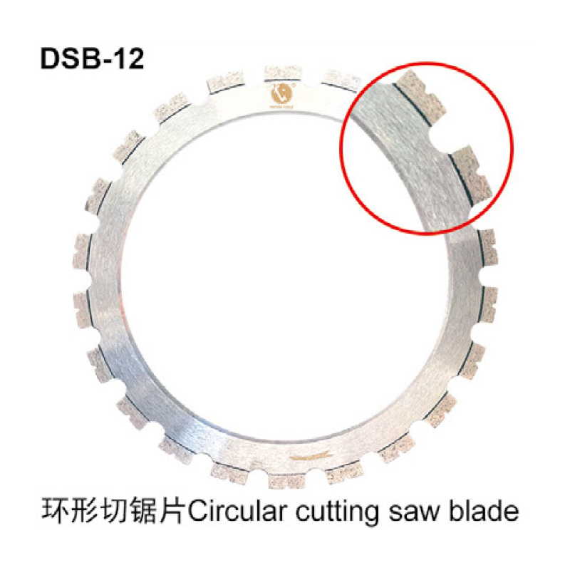 DSB-12