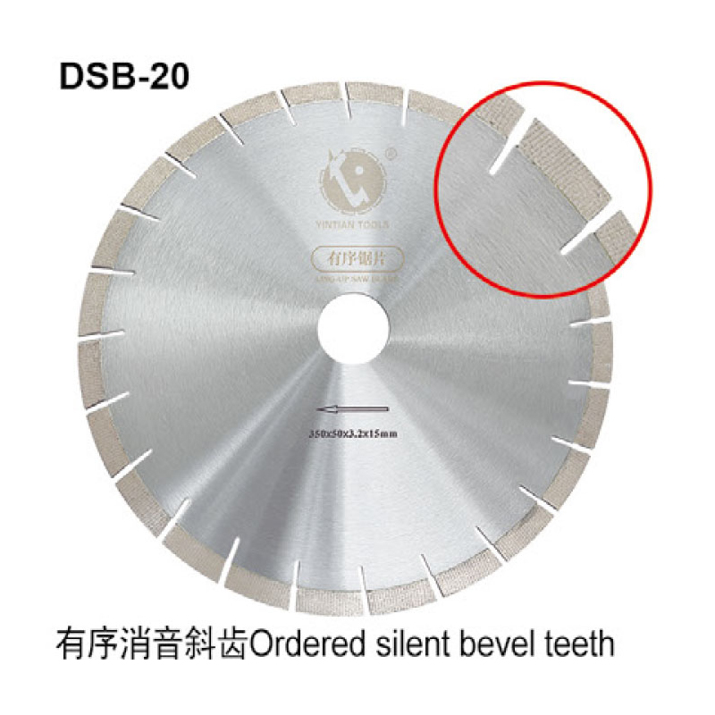 DSB-20