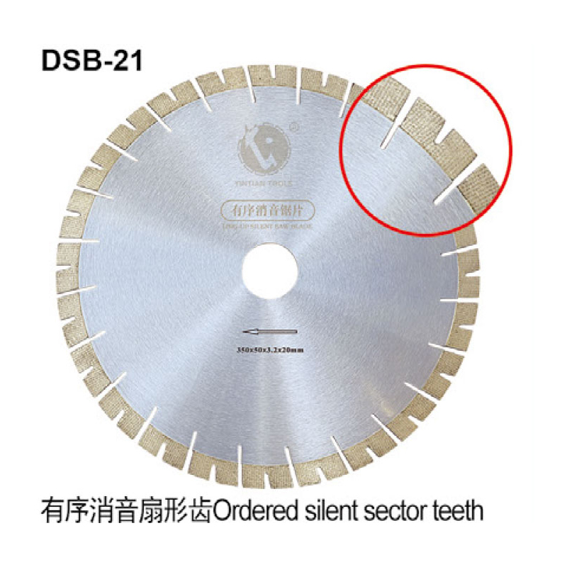 DSB-21