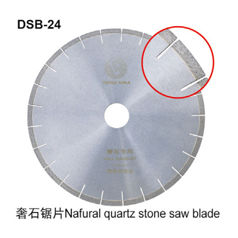 DSB-24