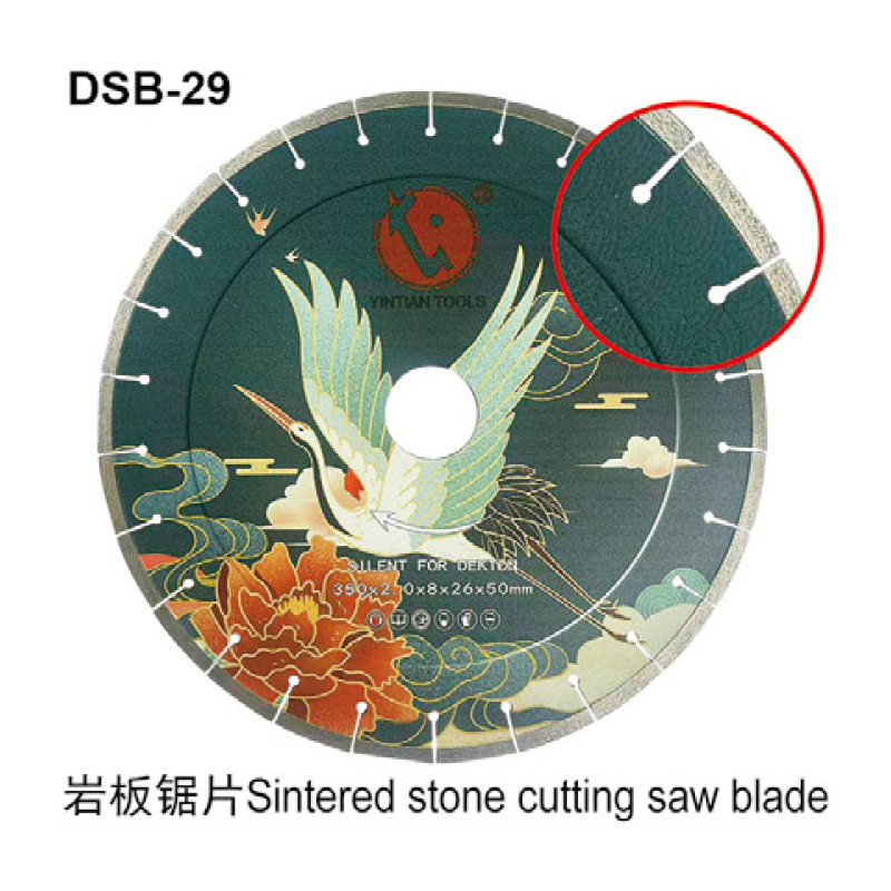 DSB-29
