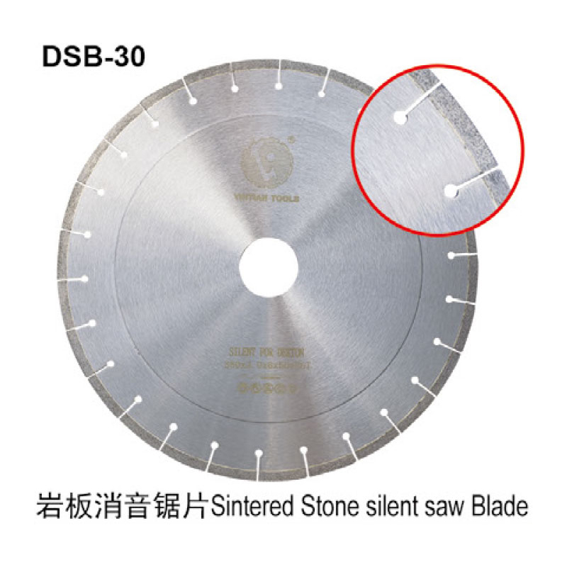 DSB-30