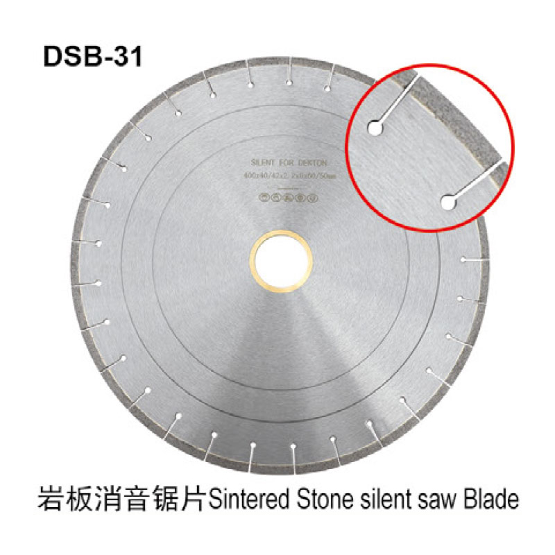 DSB-31