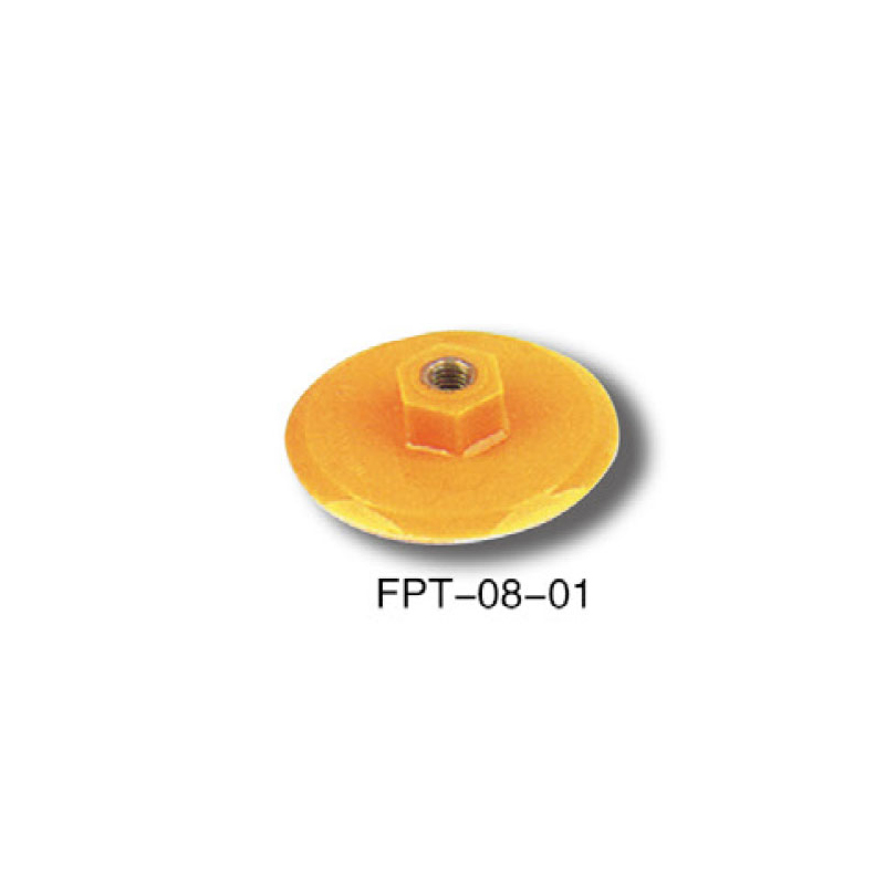  FPT-08-1