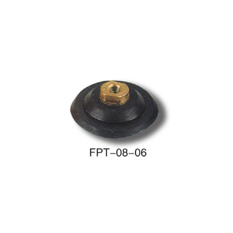  FPT-08-6