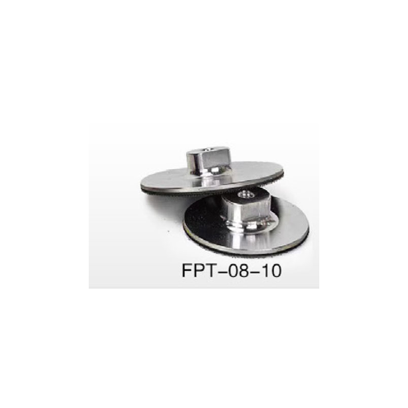 FPT-08-10
