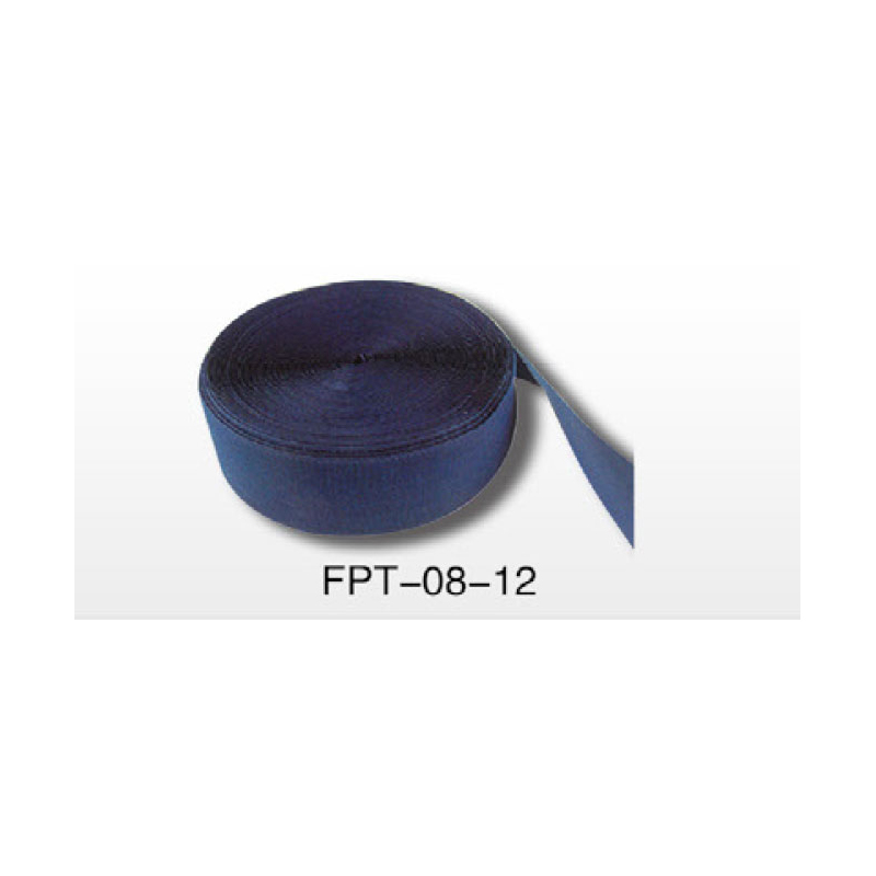  FPT-08-12